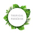Tropical and paradise Vector Illustration with place for your text. Exotic Plants Background, Royalty Free Stock Photo