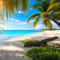 438 Tropical Paradise: A vibrant and tropical background featuring a paradise beach with palm trees and clear blue water in vivi Royalty Free Stock Photo