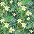 Tropical Paradise: Vibrant Yellow Flowers Amidst Lush Green Foliage Royalty Free Stock Photo