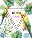 Tropical paradise with watercolor parrots and palm leaves card background Vector Royalty Free Stock Photo