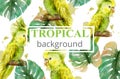 Tropical paradise with watercolor parrots and palm leaves card background Vector Royalty Free Stock Photo