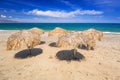 Tropical parasols at Maleme beach on Crete Royalty Free Stock Photo