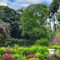 Tropical park with beautiful trees and flowers. Royalty Free Stock Photo