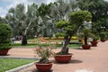 Tropical Park with flowers and trees Royalty Free Stock Photo