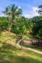 Tropical park landscape view.