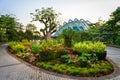 Tropical park and modern glass dome building