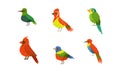 Tropical Parrots Collection, Beautiful Bright Exotic Birds Cartoon Vector Illustration Royalty Free Stock Photo