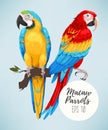 Tropical parrots collection Royalty Free Stock Photo