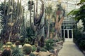 Tropical path with green tropical plants, palms and catuses at famous botanical garden in Munich