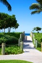 Tropical paths Royalty Free Stock Photo