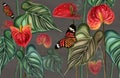 Tropical pattern background of anthurium flowers, red flower with leaves, plants with butterflies on gray background Royalty Free Stock Photo