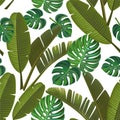 Tropical pattern with banana leaves and monstera. Vector seamless texture.