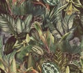 Tropical pattern with clouded leopard and tropical flowers. Seamless pattern with orchids and wild cat