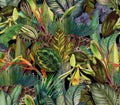 Tropical pattern with clouded leopard and tropical flowers. Seamless pattern with orchids and wild cat