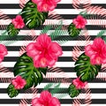 Tropical pattern. Tropical flowers and leaves for your design. Hibiscus, monstera leaf, palm leaves. Seamless pattern Royalty Free Stock Photo