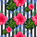 Tropical pattern. Tropical flowers and leaves for your design. Hibiscus, monstera leaf, palm leaves. Seamless pattern Royalty Free Stock Photo