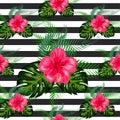 Tropical pattern. Tropical flowers and leaves for your design. Hibiscus, monstera leaf, palm leaves. Seamless pattern Royalty Free Stock Photo