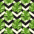 Tropical pattern with green palm leaves Royalty Free Stock Photo