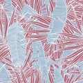 Tropical pattern with leaves. Seamless texture with banana and palm tree leaf. Summer vintage print. Royalty Free Stock Photo