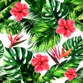 Tropical pattern with monstera leaf, palm leaves, bird of paradise, hibiscus flower, summer colorful seamless pattern Royalty Free Stock Photo