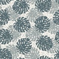 Tropical pattern, monstera leaves seamless vector background