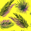 Tropical pattern,palm leaves seamless vector floral background.Exotic plant on yellow with contrast shadows Royalty Free Stock Photo