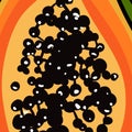 Tropical pattern with papaya. vector print with exotic fruit. Summer colorful textile texture Royalty Free Stock Photo
