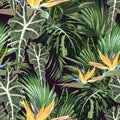 Tropical pattern with strelizia flowers and leaves. Exotic seamless pattern with tropical leaves.