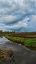 Tropical Peatland Scenery with Small River and Plowed Field Royalty Free Stock Photo