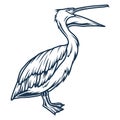 Tropical pelican monochrome detailed logotype