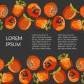 Tropical persimmon seamless horizontal border with copy space vector illustration