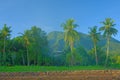Tropical Philippines Royalty Free Stock Photo
