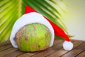 Tropical picture of coconut in Christmas red hat palm leaves