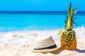 Tropical pineapple cocktail pina colada with hat on caribbean beach. Saona island, Dominican Republic. Travel vacation background Royalty Free Stock Photo