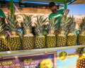 Tropical Pineapple Drinks Stand Selling Island Vacation Beverages