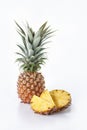 Tropical pineapple fruit