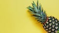 Tropical pineapple and palm on yellow background. Royalty Free Stock Photo