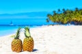 Tropical pineapples cocktails pina colada on caribbean beach with palms and ship. Saona island, Dominican Republic. Travel Royalty Free Stock Photo