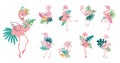 Tropical pink flamingo. Cartoon flamingos clipart with exotic palm leaves. Different africa birds, beach party stickers