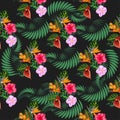 Tropical pink orchid flowers, monstera, banana palm leaves seamless pattern. Jungle foliage illustration. Exotic Royalty Free Stock Photo