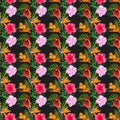 Tropical pink orchid flowers, monstera, banana palm leaves seamless pattern. Jungle foliage illustration. Exotic Royalty Free Stock Photo