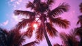 tropical pink palm tree