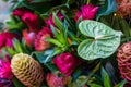 Tropical plant arrangement in beautiful fun vivid complimentary colors