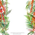 Tropical plant border. exotic watercolor background.