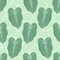 tropical plant caladium lindenii leaves seamless pattern Royalty Free Stock Photo