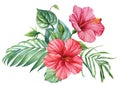 Tropical plant, palm leaf and red hibiscus flowers, jungle green leaves hand painted with watercolor, botanical painting