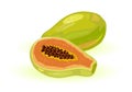 Tropical plant papaya whole and half. Exotic fruit with orange flesh and numerous black seeds. Royalty Free Stock Photo