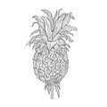 Tropical plant pineapple .Line art hand drawn set