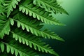 Tropical plant Polypodiopsida, lush green fern leaves, right copy space Royalty Free Stock Photo