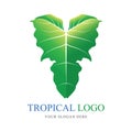 Tropical plant symbol logo. Green Elephant ear leaf icon isolated on white background Royalty Free Stock Photo